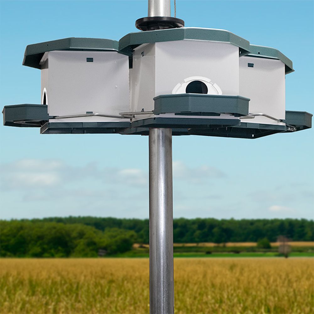 Heritage Farms Quad Pod Purple Martin House Pod